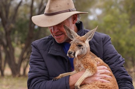 A snuggle with one of his adopted kangaroos.