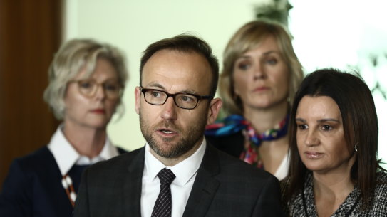 Greens leader Adam Bandt and Tasmanian Independent MP Jacqui Lambie have concerns about proposed federal electoral laws.
