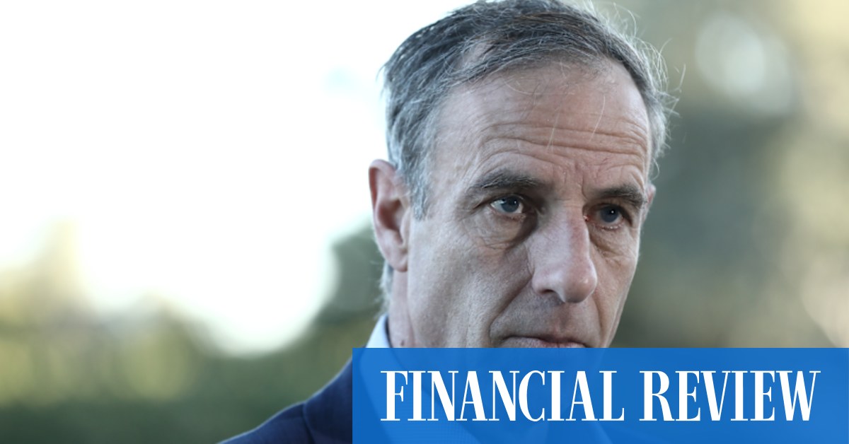Nick McKim tilts at for-profit windmills - Vimarsana News