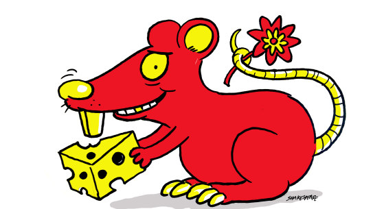 Welcome to the Year of the Rat.