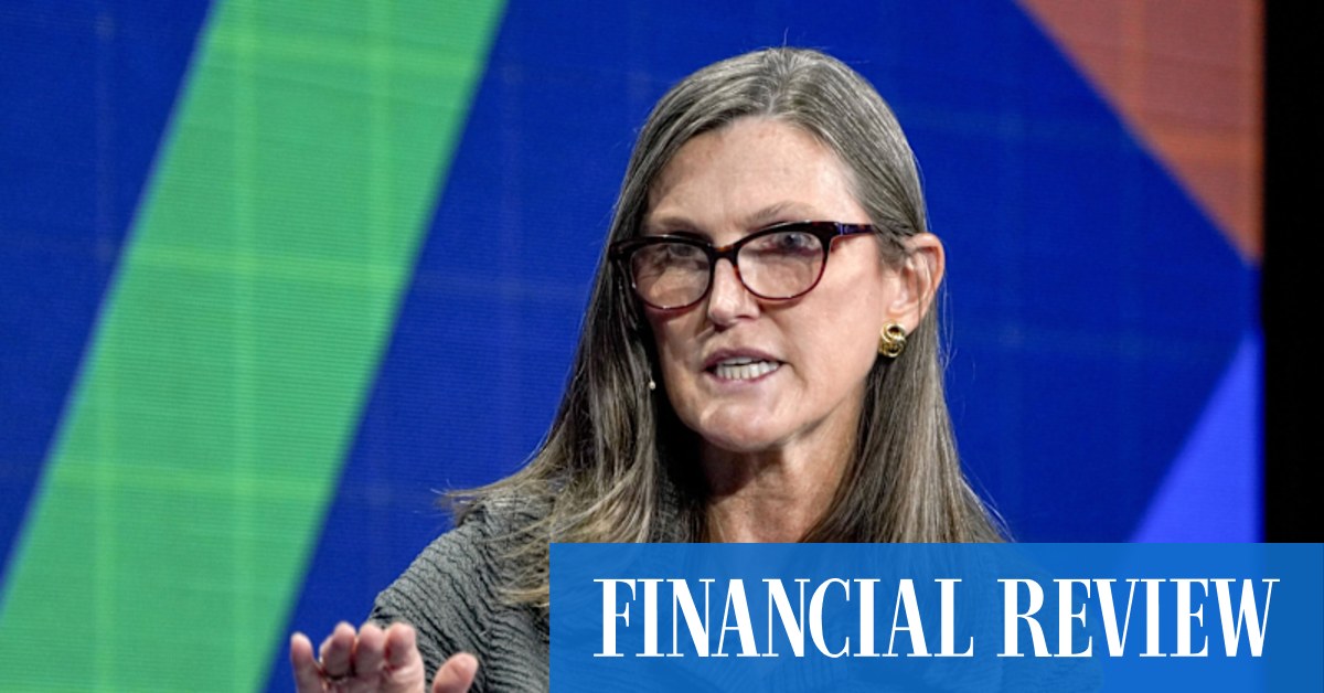 Billionaire Dan Loeb blasts Cathie Wood's 'stonk hodler' investing strategy as Ark Investment Management plunges 65 per cent - Vimarsana News