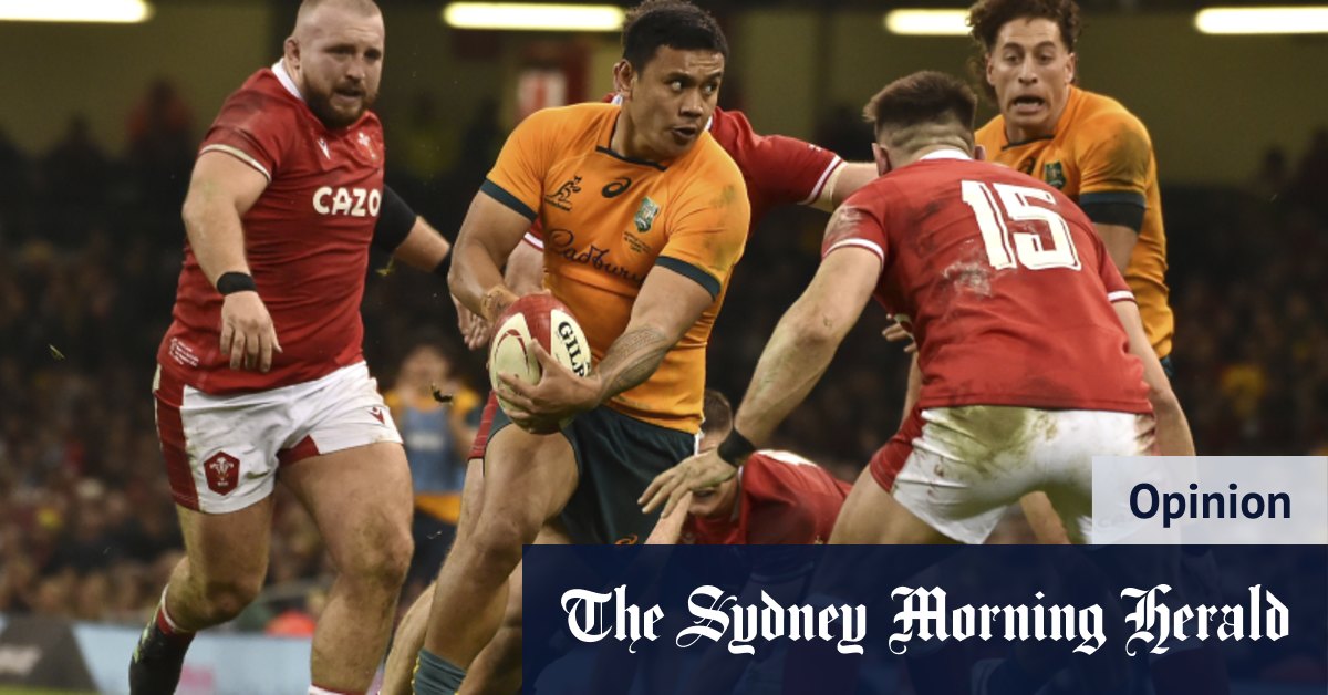 Calculated and courageous: Wallabies’ win shows they’re still contenders