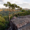 Lizard Rock and surrounds covers 71 hectares.