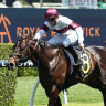 Amazing Eagle, left, winning the Brian Crowley Stakes at Randwick on October 26.