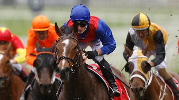 Cox Plate favourite Zaaki will have only four other horses to beat in the  group 1 Underwood Stakes at Sandown on Saturday.