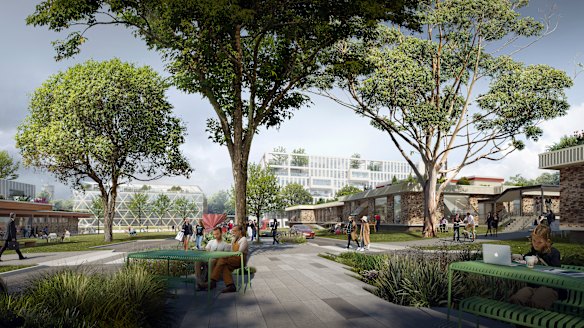 Greenery is a focus of the proposed plan for the new campus.