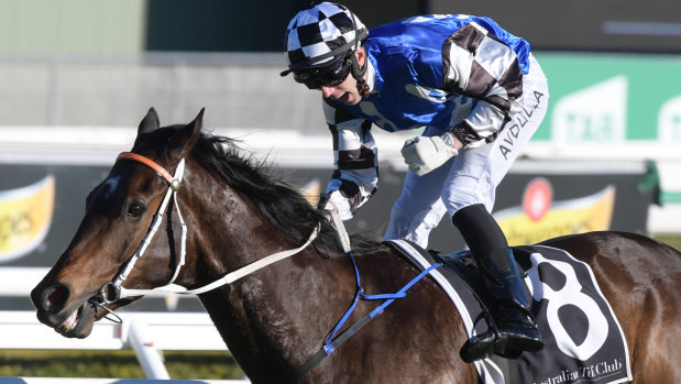 Share plan: Brenton Avdulla has a good association with Tactical Advantage, and the pair unite again for the Takeover Target Stakes.