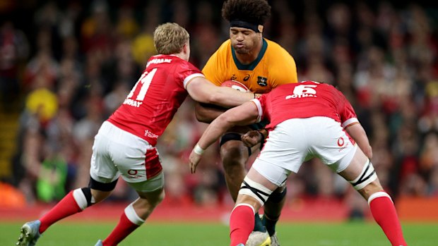 Rob Valetini playing for the Wallabies against Wales last November