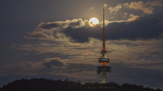 A "super blue blood moon" rises over Canberra on January 31. 