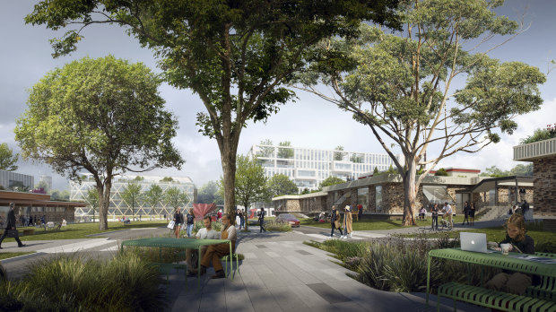 Greenery is a focus of the proposed plan for the new campus.