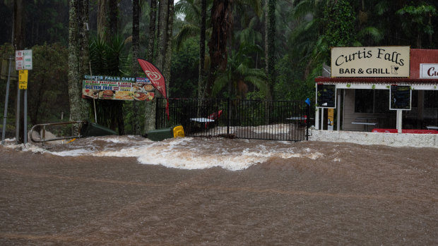 Flooding at the Curtis Falls track in Tamborine National Park.