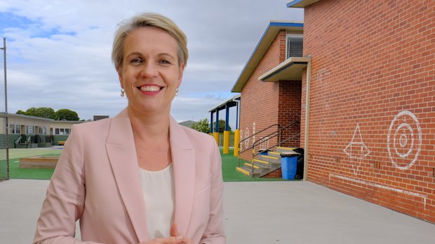 Deputy Labor leader and education spokeswoman Tanya Plibersek.