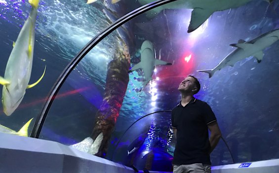 Sea Life Sunshine Coast General Manager Quinn Clarke says the aquarium was busier in 2020 than the previous two years.