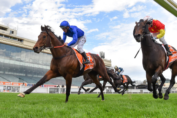 Damien Oliver aboard Anamoe charges to victory in the Caulfield Guineas.