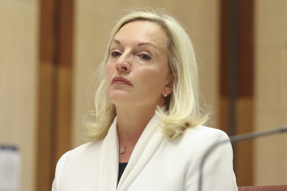 Christine Holgate takes her seat at the start of a hearing on Australia Post on Tuesday.