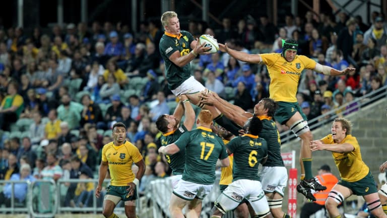Shambles: Australia's lineout has become an Achilles heel.