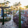 The wild effects Kurt Wilkinson has created in his Adelaide Hills garden are entirely singular 