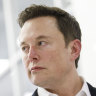 'Dear Mr Unicorn': Musk mocks hedge fund for betting against Tesla