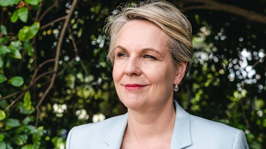 Environment Minister Tanya Plibersek wants the COP15 conference to do for the environment what the Paris climate conference did for emissions reduction.