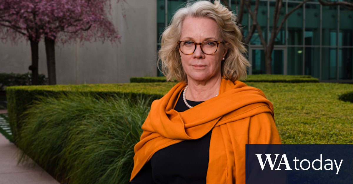 Laura Tingle backs ABC boss David Anderson - Vimarsana News