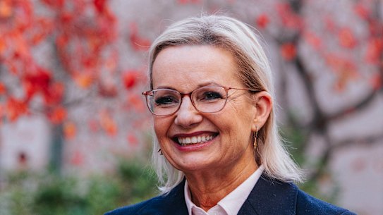 New Liberal leader Sussan ley