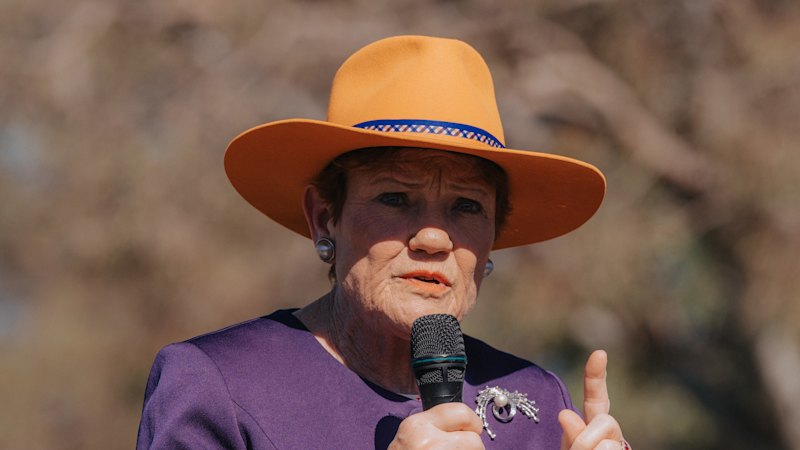Hanson and Coalition signal opposition to Labor’s proposed digital duty of care