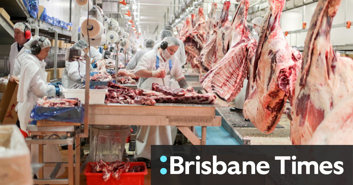 Scrap vaccine mandate, give meat workers choice of daily rapid test: union boss - Vimarsana News