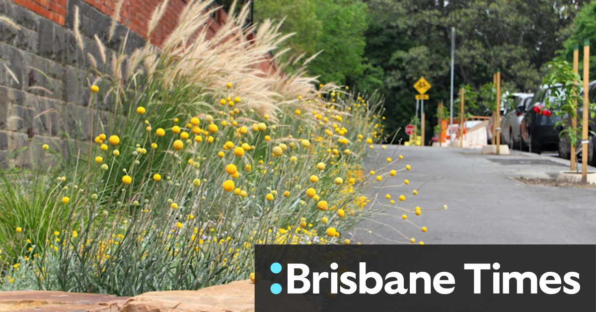 How Melbourne brought butterflies back to the CBD - Vimarsana News