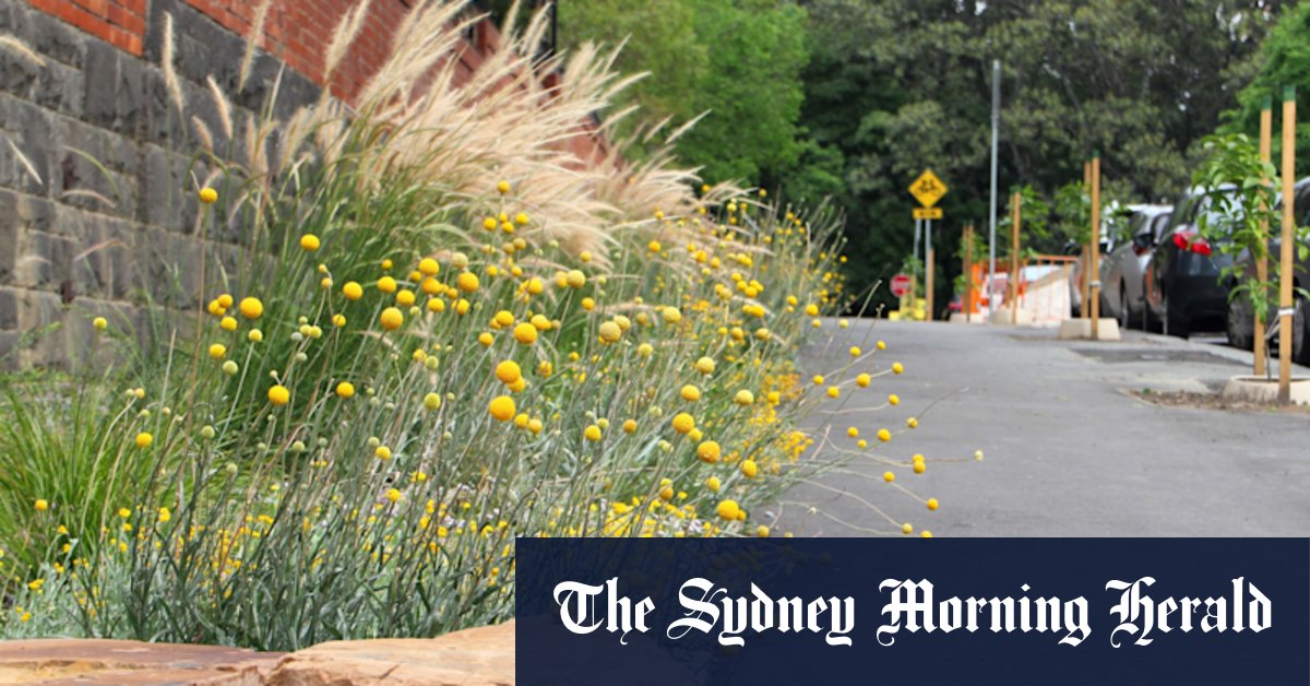 How Melbourne brought butterflies back to the CBD - Vimarsana News