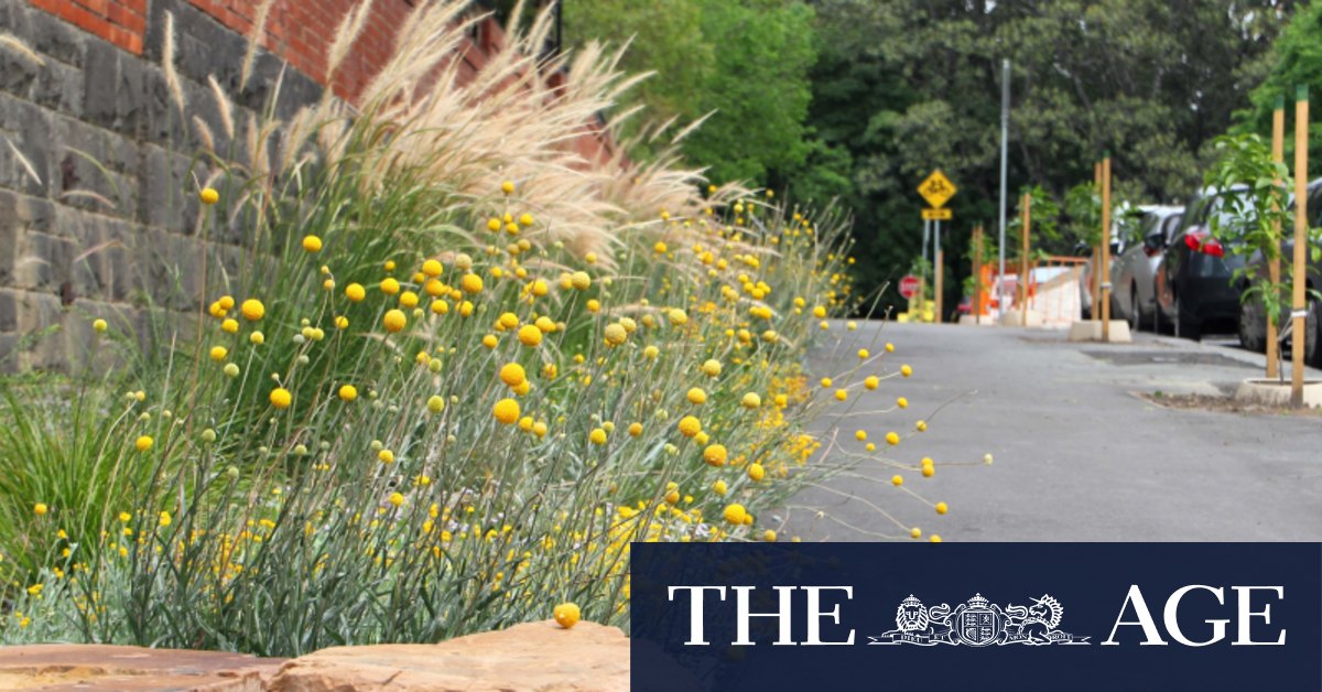 How Melbourne brought butterflies back to the CBD - Vimarsana News