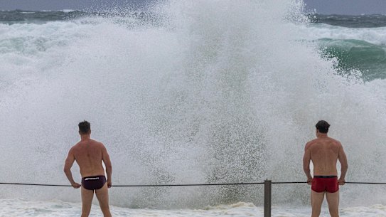 Weather. Mikey and Patch May examine the wild surf conditions at the Cronulla rock pool.
