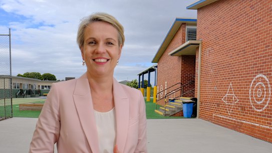 Deputy Labor leader and education spokeswoman Tanya Plibersek.