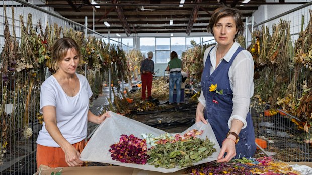 Senior curator Shannon Biederman and Melbourne artist Nina Sanadze have been commissioned to transform the flower tributes from the Bondi shooting into a permanent exhibit/artwork.  