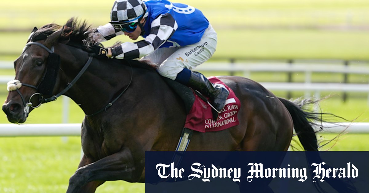 Al Riffa price tumbles with the rain as punter backs top weight to win $4 million