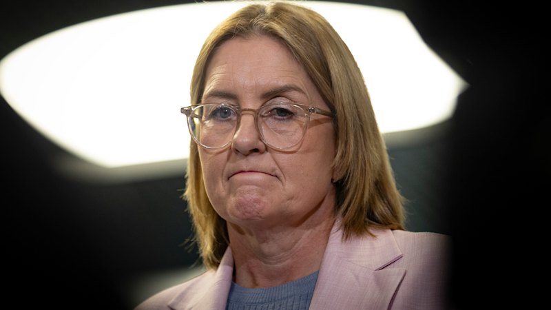 Allan dismisses leadership rumblings as ‘navel-gazing’ amid One Nation surge