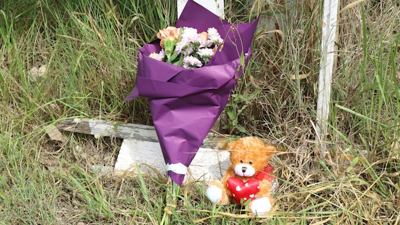 Mayor calls for crackdown after ute on way to ‘hoon event’ kills woman, injures toddler