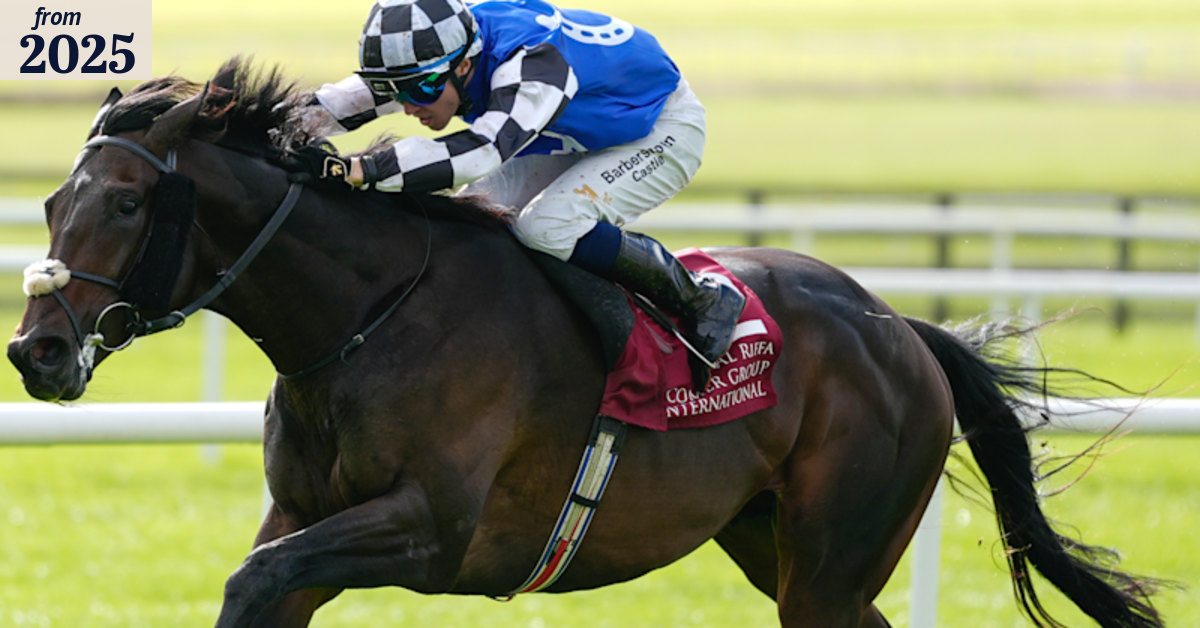 Melbourne Cup 2025: Al Riffa backed with huge bets after Flemington rain