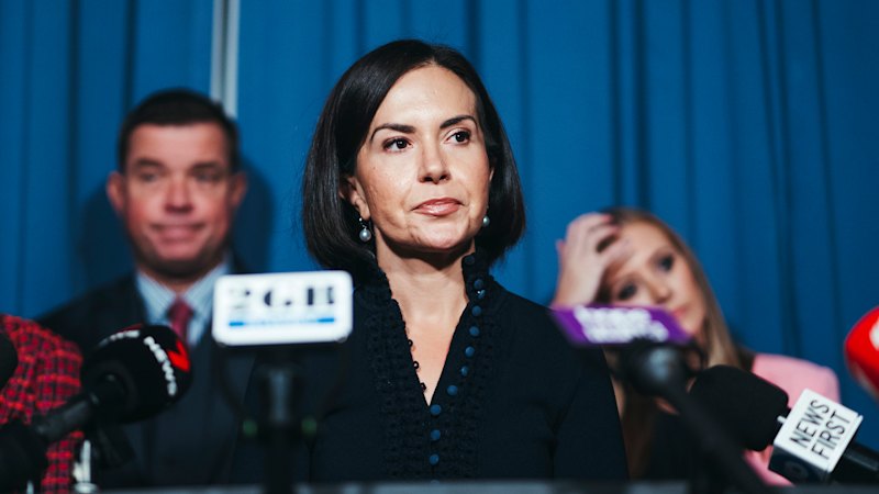NSW Education Minister asks for moratorium on HSC take-home assessments amid AI concerns