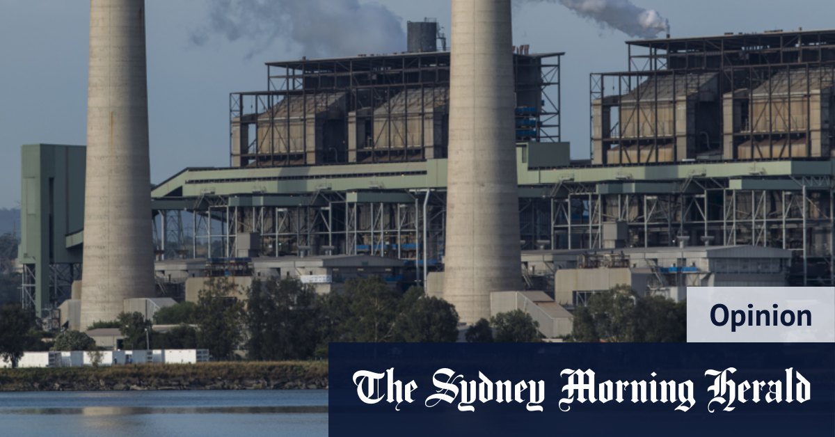 Flawed logic behind a taxpayer-built gas generator - Vimarsana News