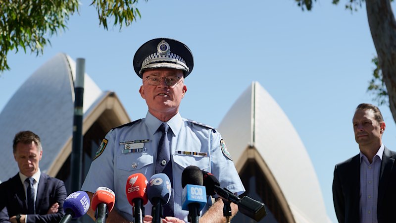 More police, fewer revellers on a Sydney NYE like no other