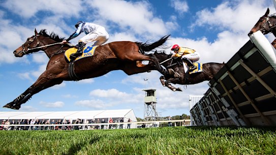Horses clear the jumps at Warrnambool.