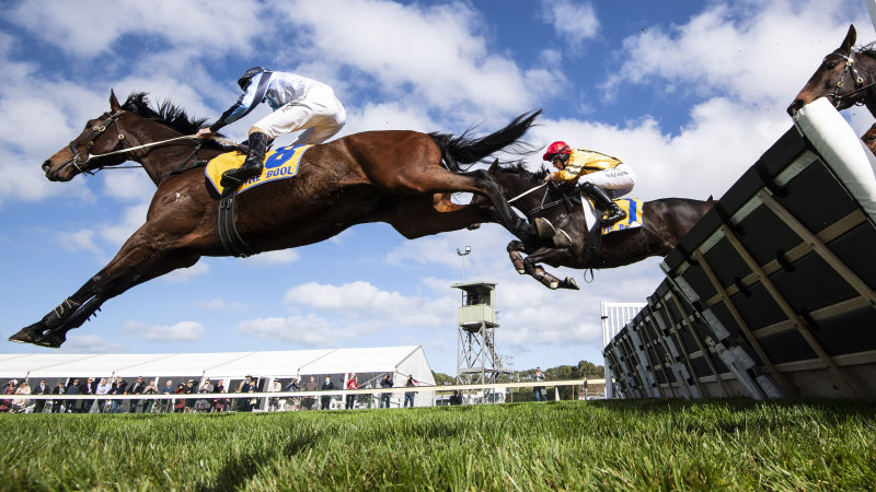 Jumping race best sale