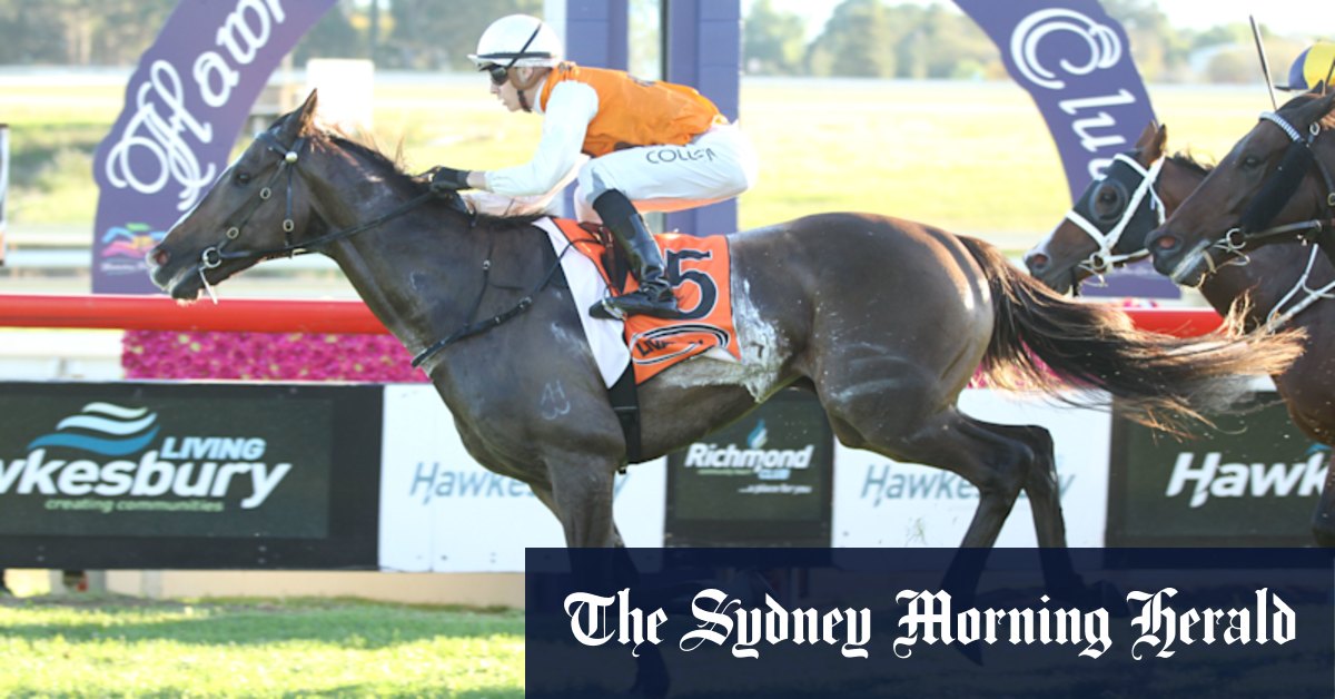 Hawkesbury Races Tuesday: Tips & Guide