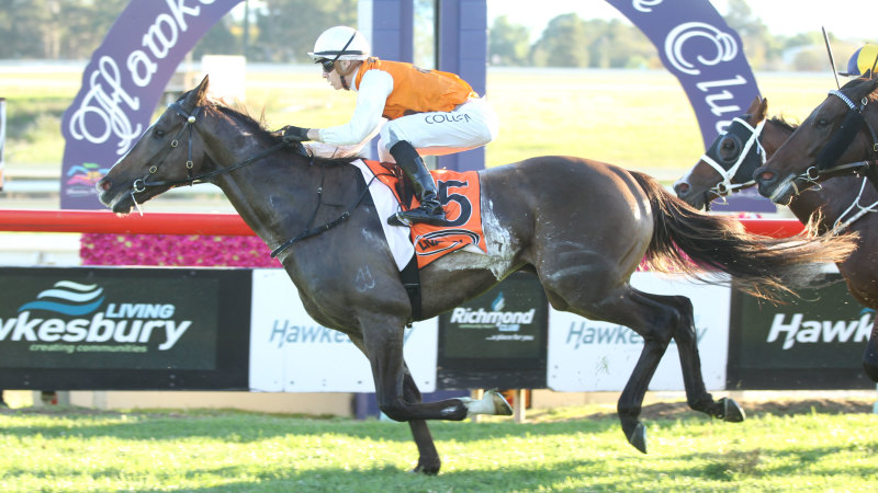 Race-by-race preview and tips for Hawkesbury on Thursday