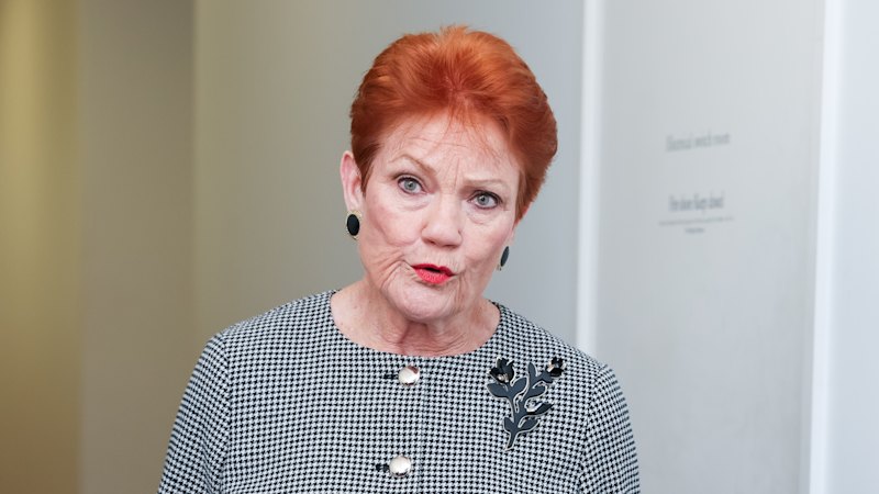 Coalition backs One Nation-linked move on foreign fighters inquiry despite Howard’s opposition