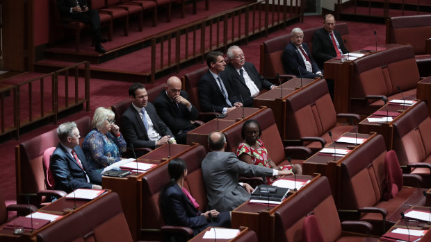 Senators including Concetta Fierravanti-Wells and Eric Abetz voting against marriage equality in November 2017.