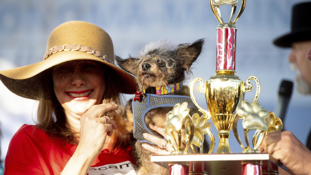 Owner Darlene Wright with Scamp the Tramp and his World's Ugliest Dog trophy. 