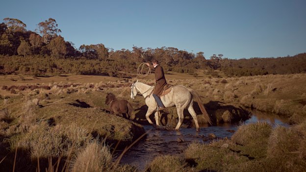 Professional horse-breaker Lewis Benedetti emerges from the Nunniong Plains bush with a wild colt. 
