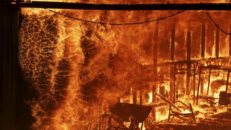 'Extraordinary' fires burnt at historical size, beyond climate projections
