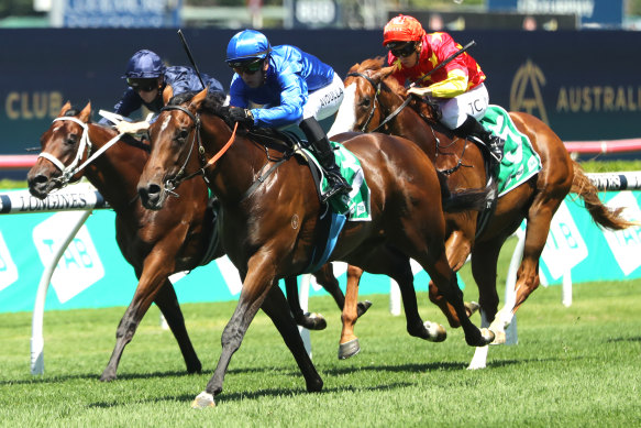 Corniche comes down the outside to win the Skyline Stakes at Randwick. 